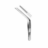 Troeltsch(Wild) Otology