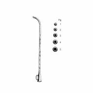 Troeltsch Otology