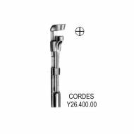 Cordes Tonsil