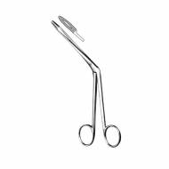 Littauer Rhinology