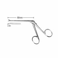 Schuknecht Otology