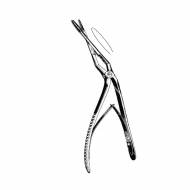 Beyer Rhinology