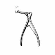 Hajek-Claus Rhinology