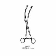 Gauss Obstetrics
