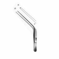 Troeltsch Otology