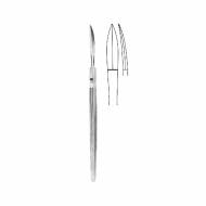 Ballenger Rhinology
