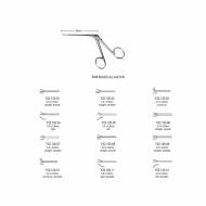Alligator Otology