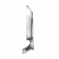 Satterlee Bone Surgery