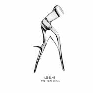 Lebsche Thoracic & Lung Surgery