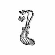 Buxton Oral Instruments