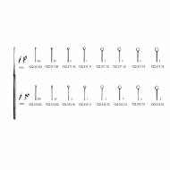 Buck Otology