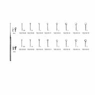 Buck Otology