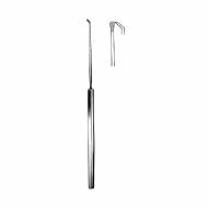 Moldenhauer Otology