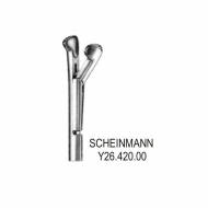 Scheinmann Tonsil