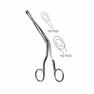 Luc  Rhinology