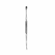 Gross Otology