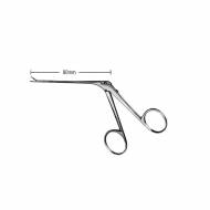 Fuller Otology